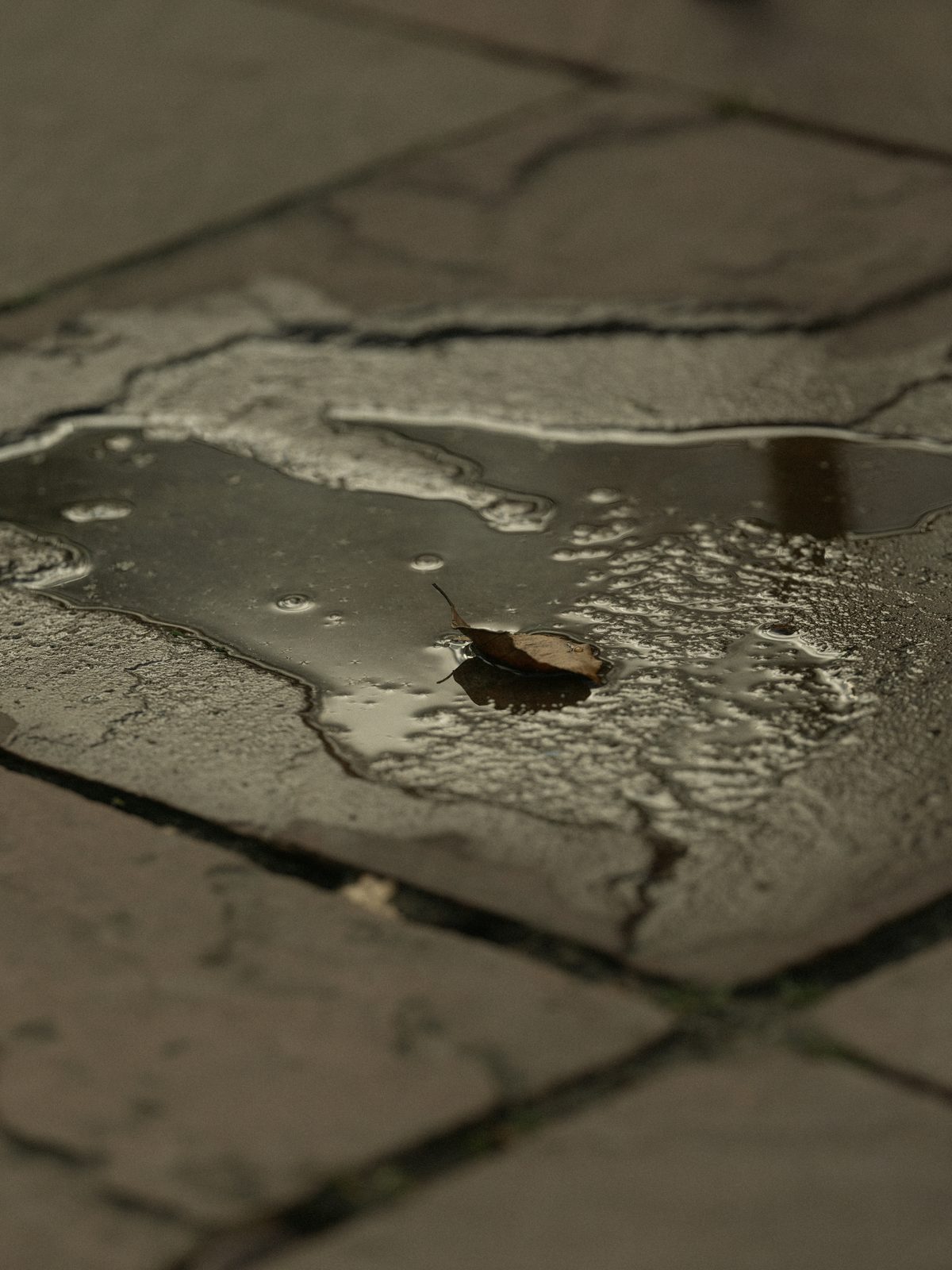 Water pooling on a slab floor from a slab leak